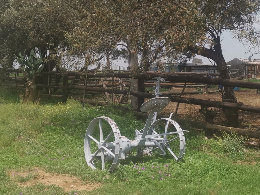 5 Bedroom Property for Sale in Senekal Rural Free State